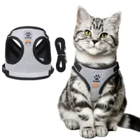 Zoomtopia Harnais réfléchissant pour chat