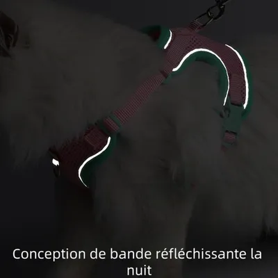 Zoomtopia Harnais avec laisse pour chat