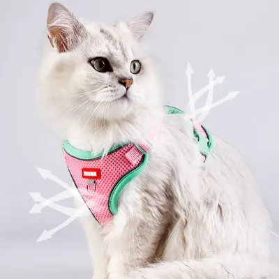 Zoomtopia Harnais avec laisse pour chat