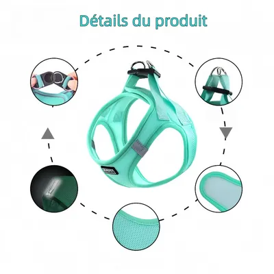 Zoomtopia Harnais anti-fuite vert pour chats