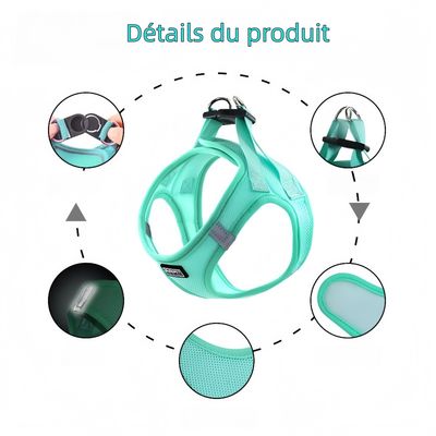 Zoomtopia Harnais anti-fuite vert pour chats