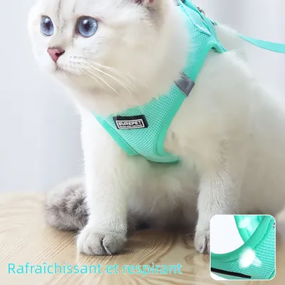 Zoomtopia Harnais anti-fuite vert pour chats