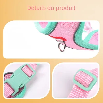 Zoomtopia Harnais avec laisse pour chat