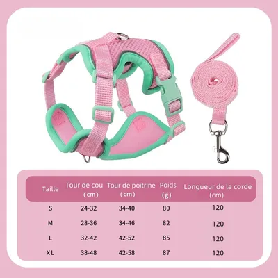 Zoomtopia Harnais avec laisse pour chat