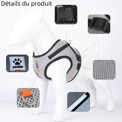 Zoomtopia Harnais réfléchissant pour chat