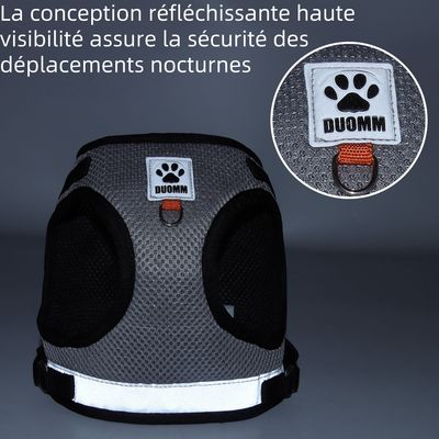 Zoomtopia Harnais réfléchissant pour chat