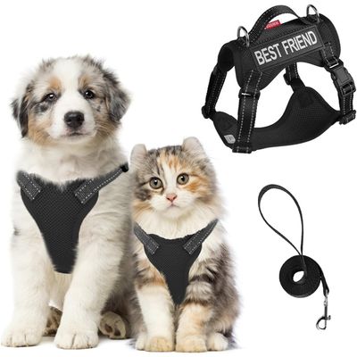 Zoomtopia Harnois de promenade pour chat