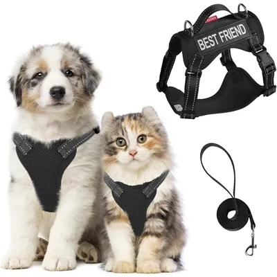 Zoomtopia Harnois de promenade pour chat