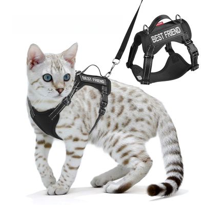 Zoomtopia Harnois de promenade pour chat