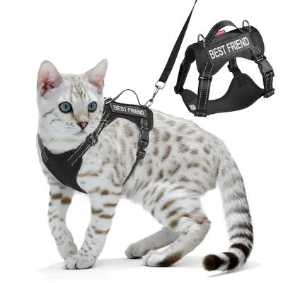 Zoomtopia Harnois de promenade pour chat