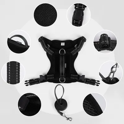 Zoomtopia Harnois de promenade pour chat