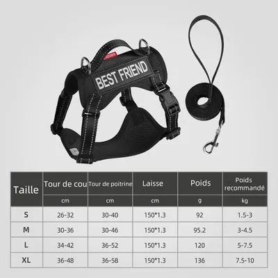 Zoomtopia Harnois de promenade pour chat
