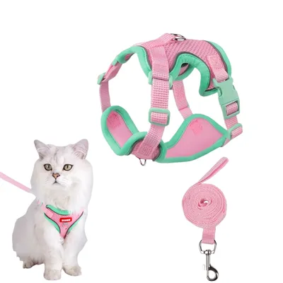 Zoomtopia Harnais avec laisse pour chat