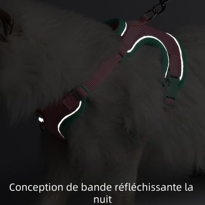 Zoomtopia Harnais avec laisse pour chat