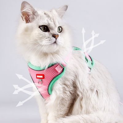 Zoomtopia Harnais avec laisse pour chat
