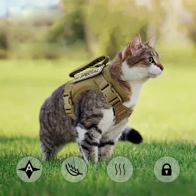 Zoomtopia Arnés ajustable para gatos y perros