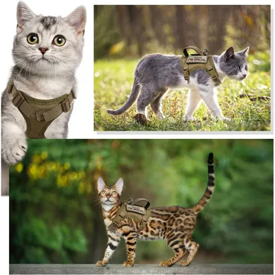 Zoomtopia Harnais réglable pour chat et chien