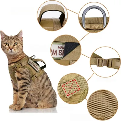 Zoomtopia Harnais réglable pour chat et chien