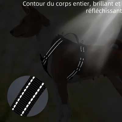 Zoomtopia Harnois de promenade pour chat