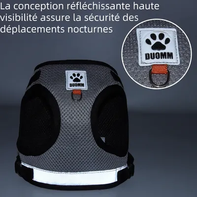 Zoomtopia Harnais réfléchissant pour chat