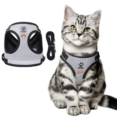 Zoomtopia Harnais réfléchissant pour chat