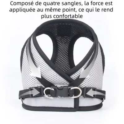 Zoomtopia Harnais réfléchissant pour chat