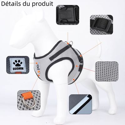 Zoomtopia Reflektierendes Katzenharness