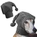 Zoomtopia Strickmütze für Hunde