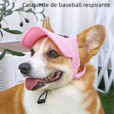 Zoomtopia Chapeau de soleil rose pour chien