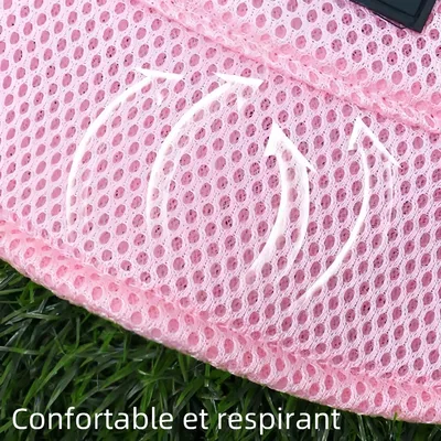 Zoomtopia Chapeau de soleil rose pour chien