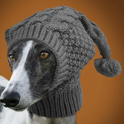 Zoomtopia Bonnet tricoté pour chien