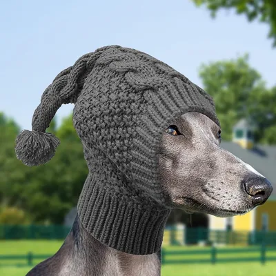 Zoomtopia Bonnet tricoté pour chien