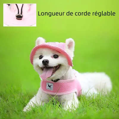 Zoomtopia Chapeau de soleil pour chien