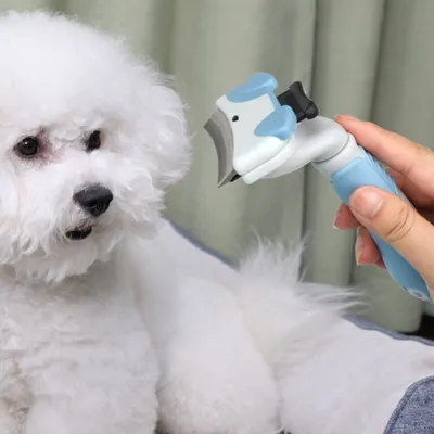 Zoomtopia Pinceau de toilettage pour chien et chat