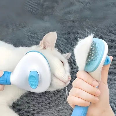 Zoomtopia Brosse de toilettage pour chiens et chats bleu