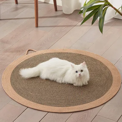 Zoomtopia Tapis de couchage pour chat