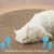 Zoomtopia Tapis de couchage pour chat