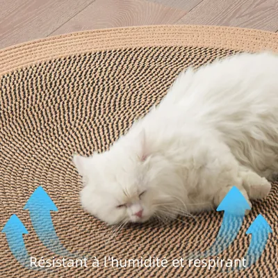 Zoomtopia Tapis de couchage pour chat