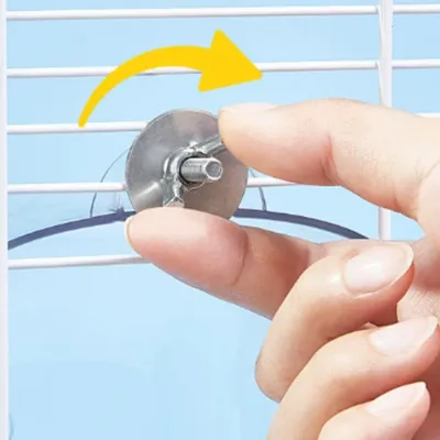 Zoomtopia Bain d'oiseaux transparent pour oiseaux