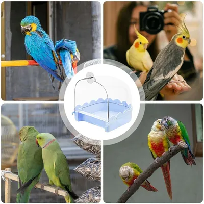 Zoomtopia Bain d'oiseaux transparent pour oiseaux