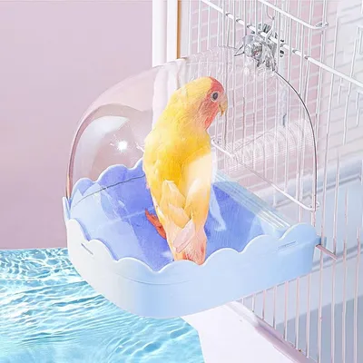Zoomtopia Bain d'oiseaux transparent pour oiseaux