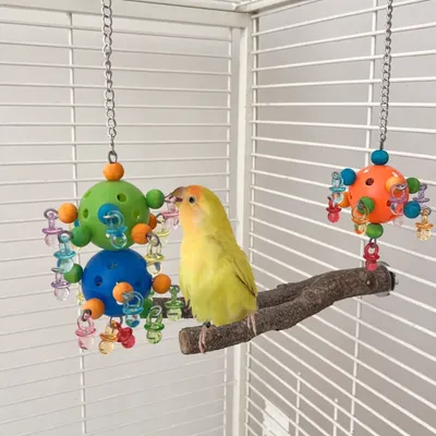 Zoomtopia Jouet pour perroquets