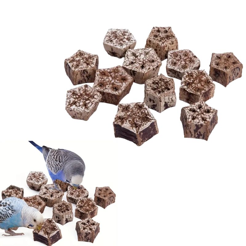 Zoomtopia Jouet à mâcher pour oiseaux