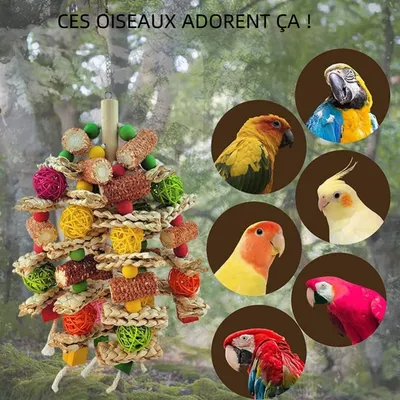 Zoomtopia Jouet à mâcher pour perroquet