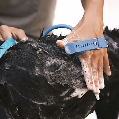 Zoomtopia Accessoire de douche  pour chien et chat