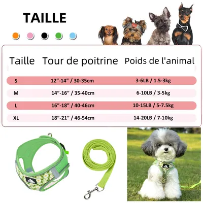 Zoomtopia Harnais réglable en maille respirante pour chien