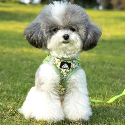 Zoomtopia Harnais réglable en maille respirante pour chien
