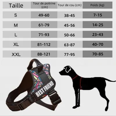 Zoomtopia Harnais réglable en nylon pour chien