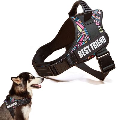 Zoomtopia Harnais réglable en nylon pour chien