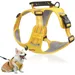 Zoomtopia Reflektierendes Hundegeschirr